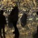 La increíble inmersión en el arte de Van Gogh llega al Teatro del Bicentenario