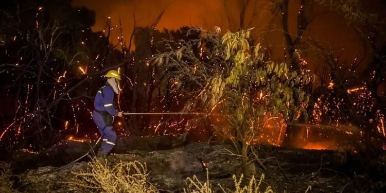 Ola de calor: piden extremar cuidados para evitar incendios