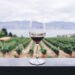 Día del Vino Argentino: se viene una semana repleta de propuestas
