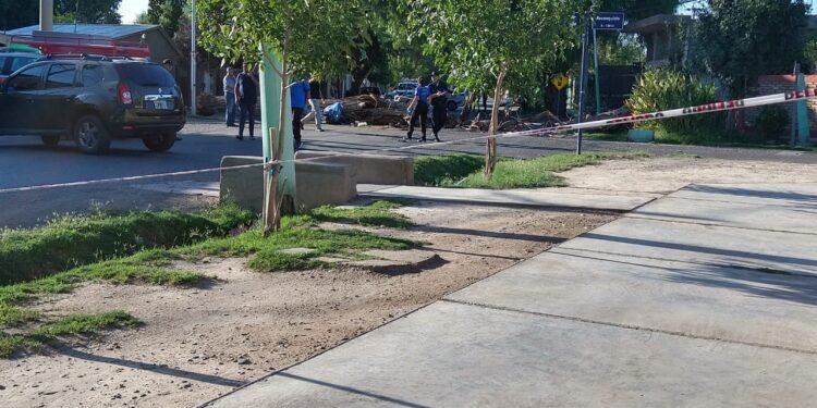 Tragedia en San Juan: les cayó un árbol encima, el padre murió, el hijo está grave