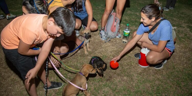 Se realizó la primera Feria de Adopción de Mascotas