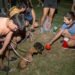 Se realizó la primera Feria de Adopción de Mascotas
