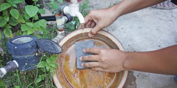Medidas preventivas para evitar la proliferación del mosquito transmisor del dengue