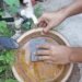 Medidas preventivas para evitar la proliferación del mosquito transmisor del dengue