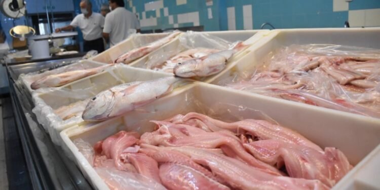 El filet de merluza subió hasta un 20% en 15 días, en la previa de Semana Santa