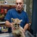 Personal de Ambiente rescató un pequeño puma en Pedernal