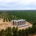 El gobernador Uñac inauguró la planta de industrialización de aceite de oliva más importante de la región