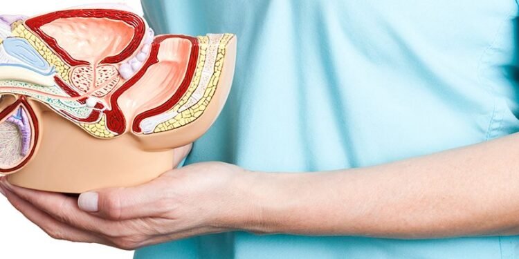 Día Mundial del Pene: cuidados para la higiene adecuada y consejos para prevenir el cáncer y otras enfermedades