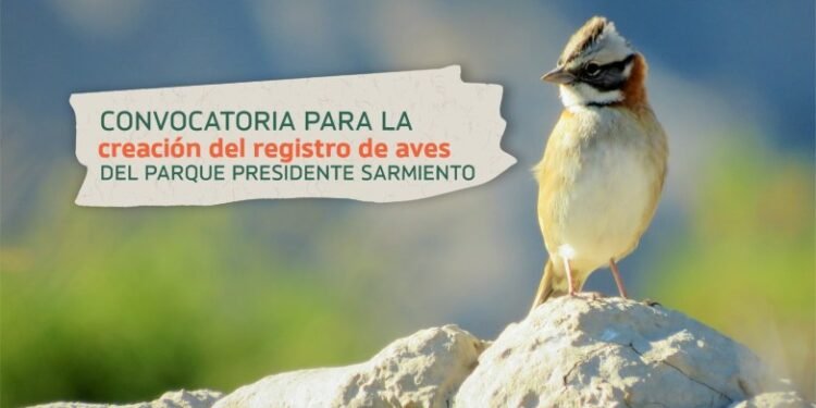 Ambiente abre la convocatoria para la creación de un Registro de Aves del Parque Presidente Sarmiento
