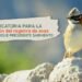 Ambiente abre la convocatoria para la creación de un Registro de Aves del Parque Presidente Sarmiento