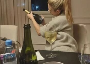 Las fotos de Fabiola Yañez tomando alcohol que Alberto presentó en la causa por violencia de género