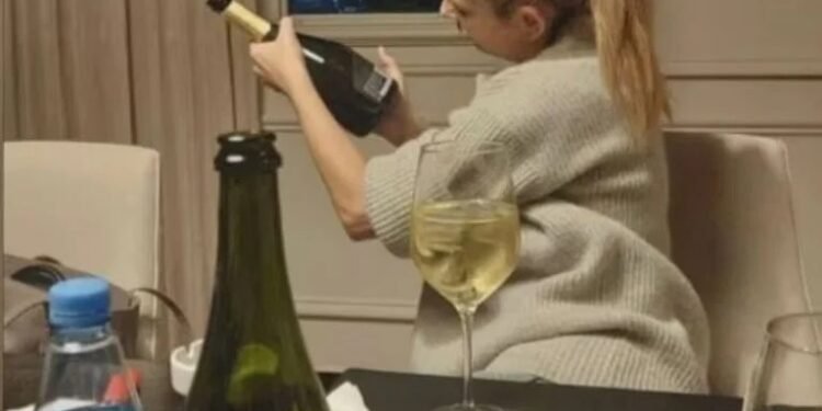 Las fotos de Fabiola Yañez tomando alcohol que Alberto presentó en la causa por violencia de género
